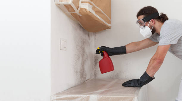 Professional Basement Mold Remediation technician working in Hacksneck, VA
